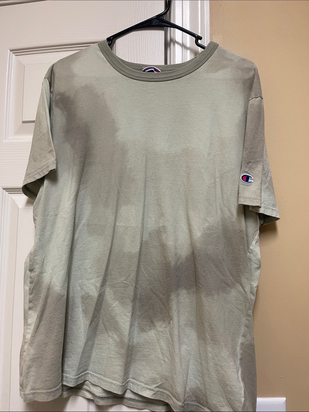 Champion Men's Short Sleeve Crewneck Tee in Sage Green
